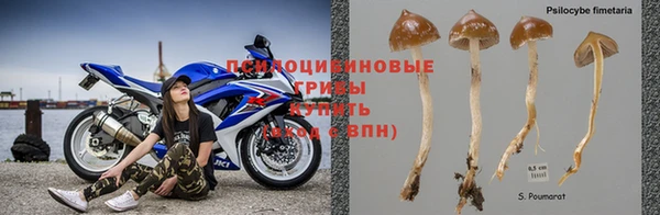 mix Аркадак