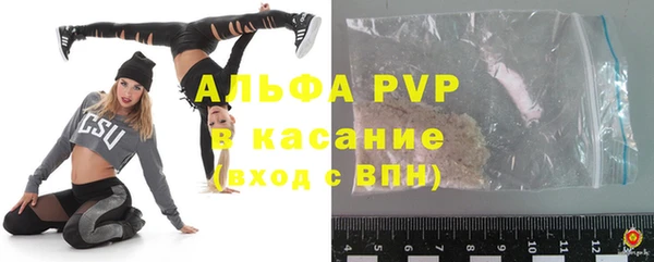 гидра Арсеньев