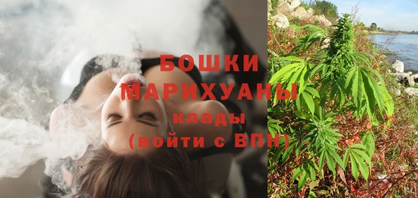 гидра Арсеньев