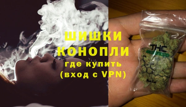 гидра Арсеньев