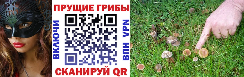 Галлюциногенные грибы MAGIC MUSHROOMS  хочу   кракен как зайти  Чапаевск 