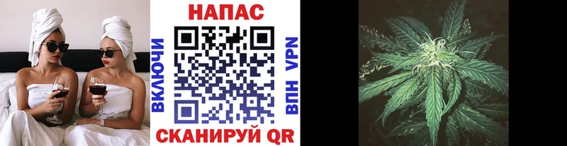 Бошки Шишки тримм  Чапаевск 